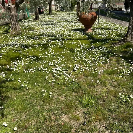 Apartmán Residenza Martinelli Pistoia